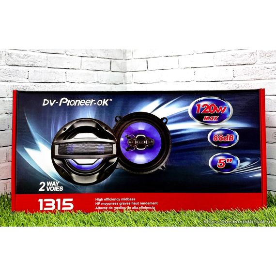 DV-Pioneer.Ok 1315