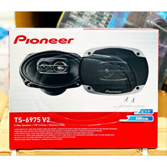 Pioneer TS-6975 V2 6/9 (овалы)